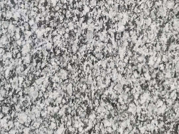 1698375685177183.jpg